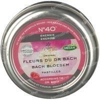 Bach Bloesem Energy Pellets 50 g