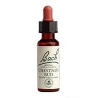 bach flower chestnut bud 20ml