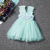 Baby Girls Summer Lace Chiffon Rose Sleeveless Princess Dress