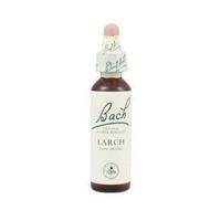 bach original flower remedies larch 20ml 1 x 20ml