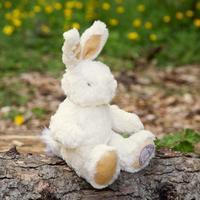 Baby Bo Rabbit With A Presentation Box