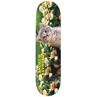 Baker Reynolds Mr. Twinkles Skateboard Deck - 8\