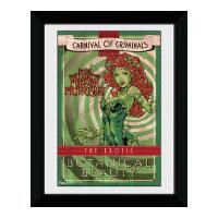 batman circus poison ivy 30 x 40cm collector prints