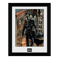 Batman Arkham Asylum - 30 x 40cm Collector Prints