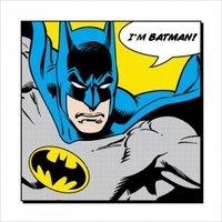 Batman Dc Comics Art Print