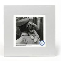 Battersea Dogs And Cats Home Hello Mounted Art