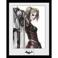 Batman Arkham City Harley Quinn Poster