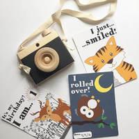 Baby Milestone Cards