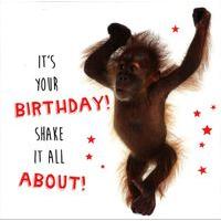 Baby Orangutan happy birthday card