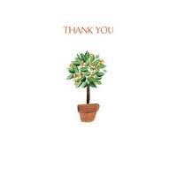 Bay Tree | Thank you Card