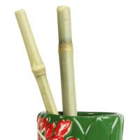 Bamboo Straws (Pack of 12)