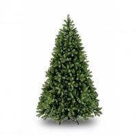 Bayberry Spruce 7ft Tree