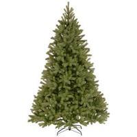 Baldwin Spruce 7.5ft Tree NPEBY4-503-75