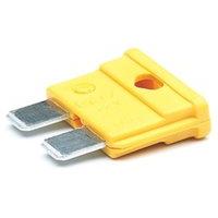 Battery Charger Fuse 20a