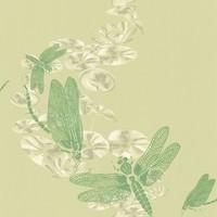 Barneby Gates Wallpapers Dragonfly Apple Green, BG0600202