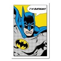 Batman I\'m Batman Poster White Framed - 96.5 x 66 cms (Approx 38 x 26 inches)