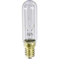 Barthelme 00742225 Filament Bulb 235 V 25 W Base: E14 Clear