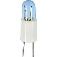 Barthelme 21010560 Sub Miniature Lamp 5 V 0.3 W BIPIN T1 Base=Bi-Pin T 1 Clear