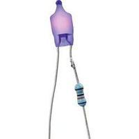 barthelme 000810134 neon bulb 230 v blue