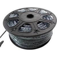 basetech hv halogen pen light 40 m klar flexible light tube 40 m warm  ...