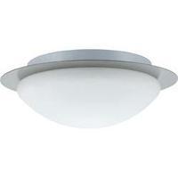 Bathroom flush mount ceiling light HV halogen, Energy-saving bulb E27 60 W Paulmann Vega 70346 Iron (brushed)