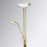 Baya LED floor lamp in a brass look