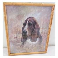 Basset hound with rabbit print
