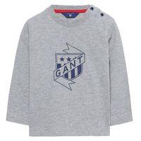 Baby Boy Long-sleeved Shield T-shirt 0-3 Yrs - Grey Melange