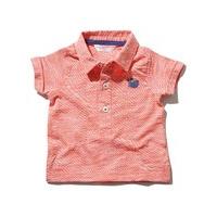 baby boy micro stripe short sleeve button down boat embroidered polo s ...