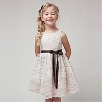 ball gown short mini flower girl dress organza jewel with lace sash ri ...