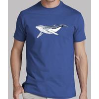 baby humpback whale - man, manga short, royal blue, extra quality