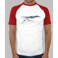baby humpback whale - man, baseball style, white and red