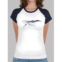 baby humpback whale - woman, baseball style, white and navy