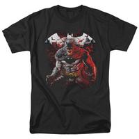 Batman - Raging Bat