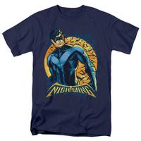 Batman - Nightwing Moon