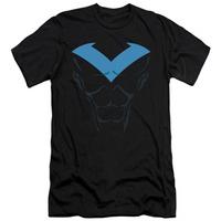 Batman - Nightwing Costume (slim fit)