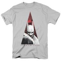 Batman Arkham City - Bat Triangle