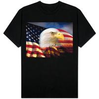 Bald Eagle Head and American Flag