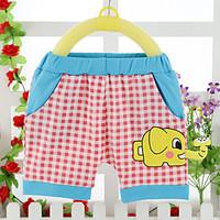 Baby Casual/Daily Striped Shorts, Cotton Summer