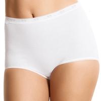 Basic Range Maxi 3 PK Briefs