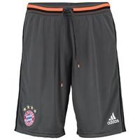 Bayern Munich Training Shorts - Grey, Grey