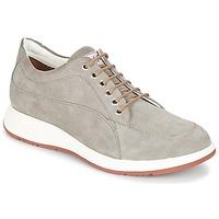 Barleycorn NEW CLASSIC men\'s Casual Shoes in grey