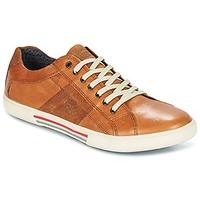 Base London EURO men\'s Shoes (Trainers) in brown