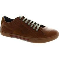 Base London Euro men\'s Shoes (Trainers) in brown