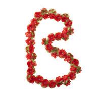 Basil Bicycle Decoration Flower Garland - Red