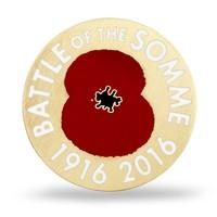 Battle of the Somme Lapel Pin