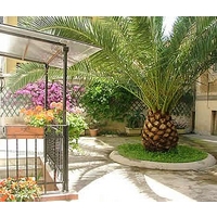 B&B Francesca Via Tommaso Campan...