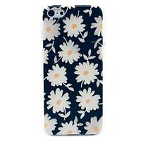 Beautiful Daisies Pattern Hard Case for iPhone 5C