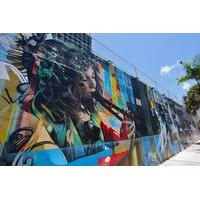 best of wynwood street art and gallery tour