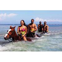 Best of the West Jamaica Island Experience